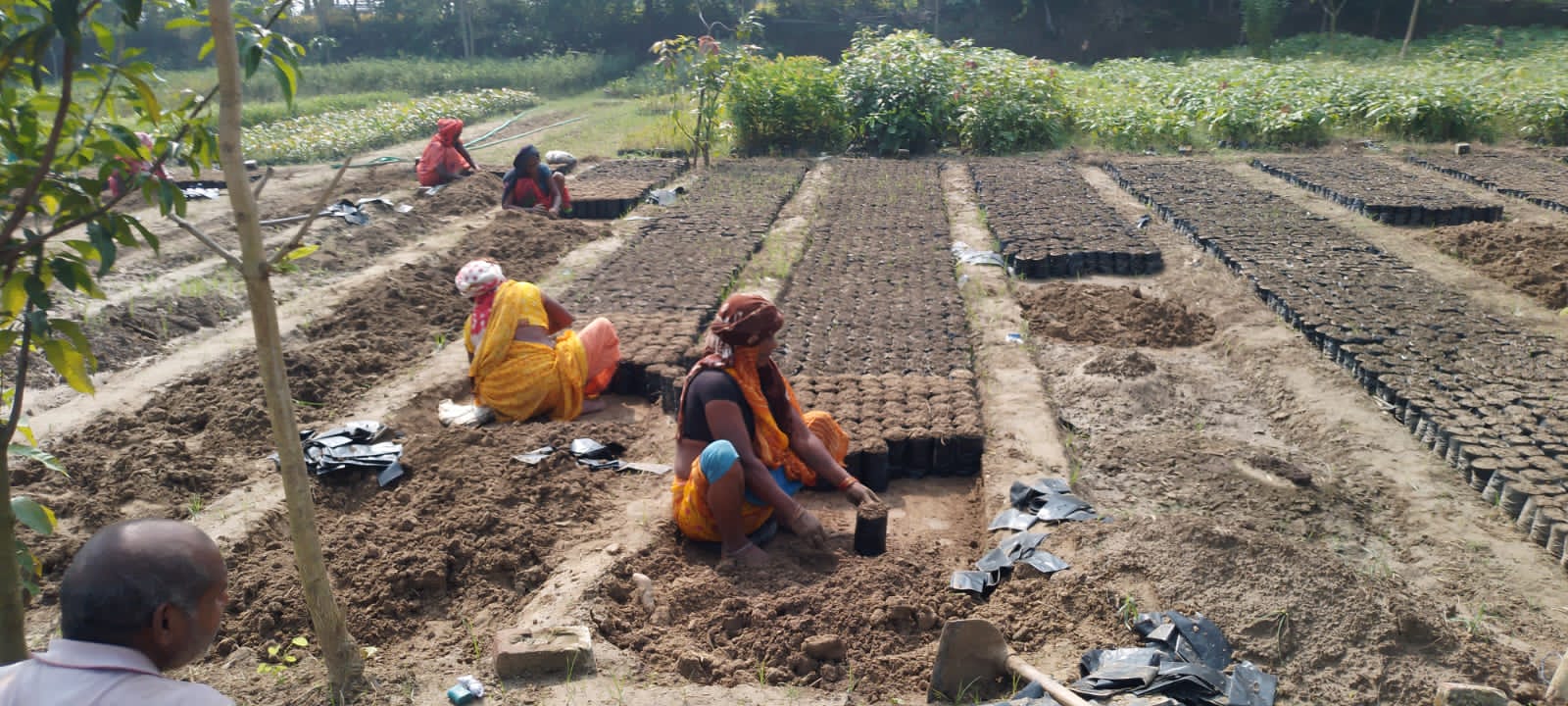 महंगाई के दौर में मजदूरों का शोषण: वन विभाग की मजदूरनियों की दर्दनाक कहानी