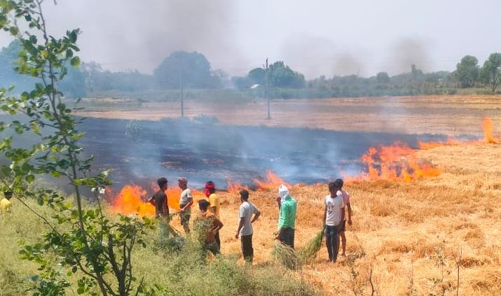 शॉर्ट सर्किट से गेहूं की खड़ी फसल में लगी आग, दो से ढाई बीघा फसल जलकर खाक
